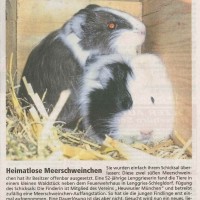 201403 TölzerKurier
