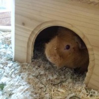 2016 02 07Neugierig