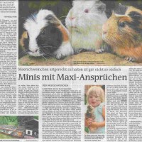 2018 28 04MünchnerMerkur
