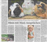 2018 28 04MünchnerMerkur