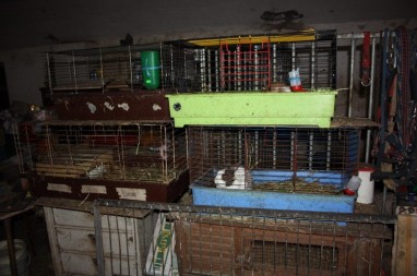 Behausungen MS