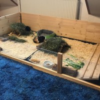 Bento18102802
