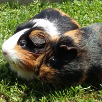 Betty19051801