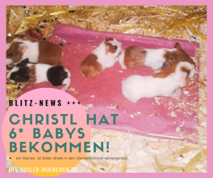 ChristlBabys