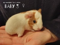 ChristlsBabys2001123