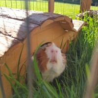 Cleo19052502