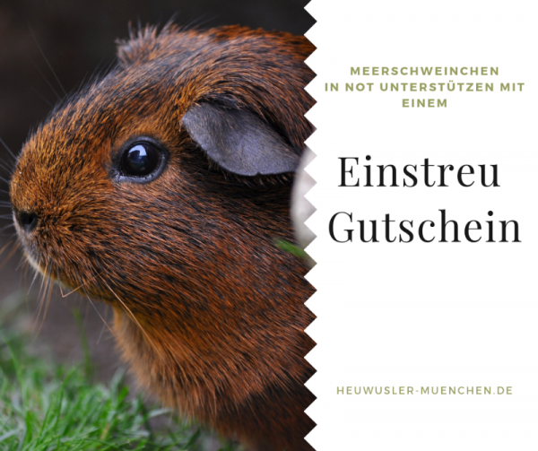 Einstreugutschein