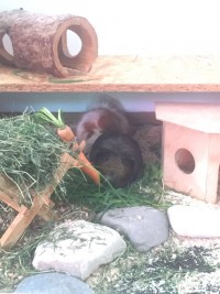 Flavius1605212