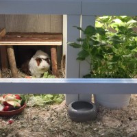 FloriSchnuckerl19081302