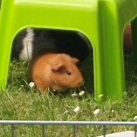 Frieda1706041