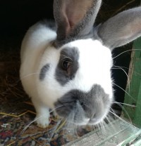 Fritzi1803043