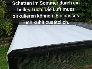 GanzjaehrigeAussenhaltung4