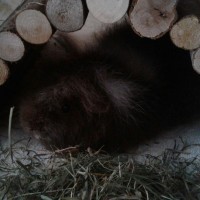 GertiNils18032504