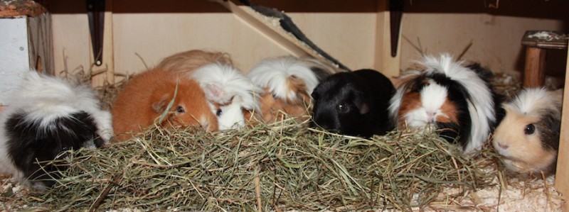 Gruppenfoto Meeri