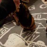 Hubert19030302