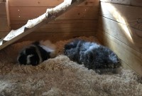 IMG 20180626 WA0017