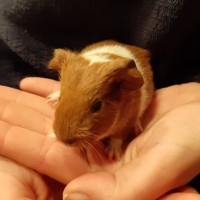 JackBalou2002102