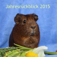 Jahresrückblick