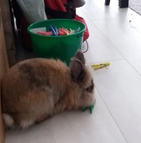 Kiki1705273