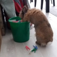 Kiki1705275