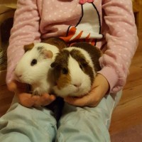KikiSneaker1712232