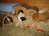Lee und Elfriede18