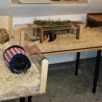 Lottchen1801142