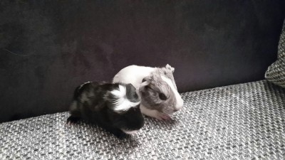 MamaKatniss