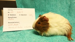 Mara2001241