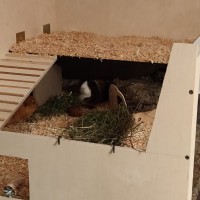 MarcoSchnipsi19011505