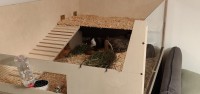 MarcoSchnipsi19011505