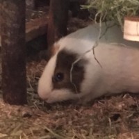 Margarete19052201