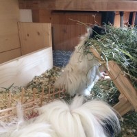 MaryPoppinsConstJonesMrsWinifred1709216