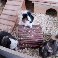 MeadowTabitha18122201