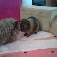 Melvin19042103