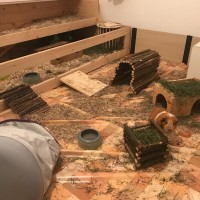 MericLila18101003