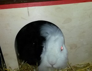 Michi Betty3