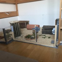 Milli170502
