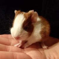 Milly2002101
