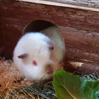 Mimmi1911282