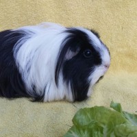 Natascha06