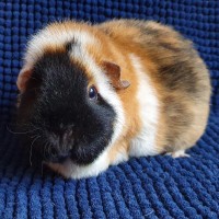 Oskar2001281