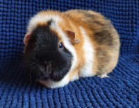 Oskar2001281
