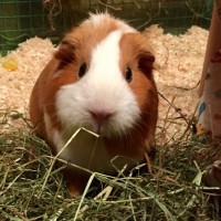 Paco1711151