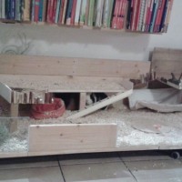 PaulMathilda1711132