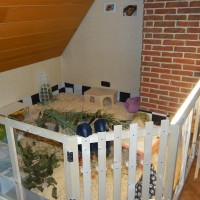 Pelle161128Zuhause2