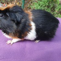 Rocky1907161