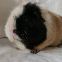 Rosie200105