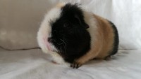 Rosie200105