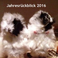 Rueckblick2016